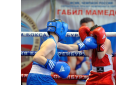 Подведены итоги первенства Оренбургской области по боксу среди юношей