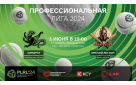1 и 2 июня состоятся игры в рамках Профессиональной лиги русской лапты