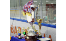 Чемпионат Оренбургской области по хоккею – лига «А» и лига «В»