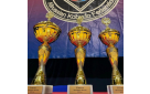 Спортсмены из Оренбуржья завоевали 18 медалей на чемпионате и первенстве России по кобудо