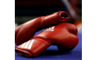 Четыре медали взяли боксеры Оренбургской области на первенстве ПФО