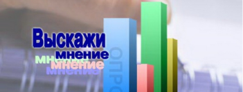Выскажи мнение